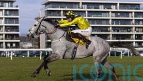 Eldorado Allen will go for Cheltenham gold, with line put through Newbury