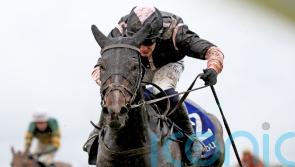 Brandy back in action at Punchestown