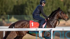 Subjectivist ready for high-profile Saudi Cup card return