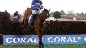 Solo effort one to savour for Nicholls at Kempton