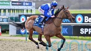 Lord North proves a class apart in Winter Derby