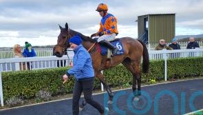 Rebel strikes Newlands Gold at Naas