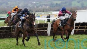 Hosie ready to Rock at Cheltenham