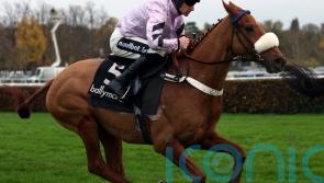 Maximilian team to skip Festival date in favour of Aintree