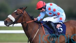 Sounds Russian going for Gold Cup glory at Cheltenham