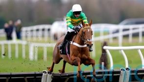 Under Control has Newbury covered in stylish winning debut