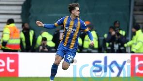 Promotion-chasing Derby let slip two-goal lead against Shrewsbury