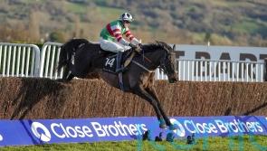 Cheltenham off the agenda for Chatham Street Lad