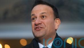 Potential low turnout not a reason to shelve gender referendum, says Taoiseach