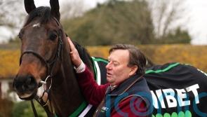 Constitution Hill and Henderson the people&rsquo;s champs, says Henrietta Knight