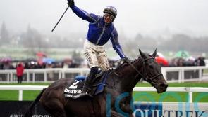 Energumene among nine left in Champion Chase
