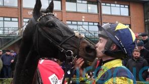 Michael O&rsquo;Sullivan eager to make Festival splash with Marine