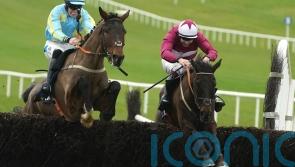 Churchstonewarrior primed for Cheltenham test