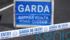 Two die in separate crashes in Co Limerick and Co Louth