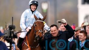 Honeysuckle seeking perfect Festival swansong