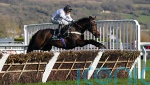 Constitution Hill simply magnificent in Champion Hurdle cruise