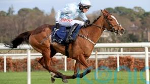 Gala Marceau bidding to settle any Triumph Hurdle argument