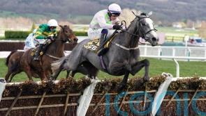 Lossiemouth puts the record straight in Triumph Hurdle