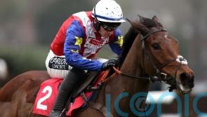 Punchestown consideration for Love Envoi &lsquo;if she&rsquo;s bouncing&rsquo;