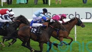 Fellowes hoping sky is the limit for Atrium in the Lincoln