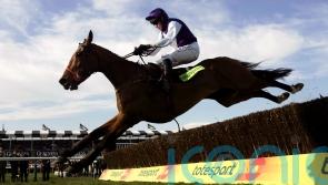 Tributes paid to Cheltenham Gold Cup hero Kicking King