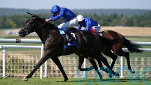 Rebel with a cause &ndash; Appleby backing Romance to star on Meydan card