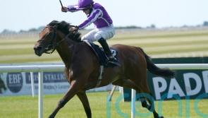 Cairo taking Mendelssohn route to possible Kentucky challenge