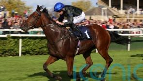 Boughey looking to Totally Charming for first winner in Ireland