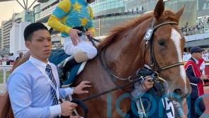 Derma Sotogake roars into Kentucky Derby reckoning