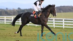 Auguste Rodin and Little Big Bear on track for Newmarket
