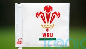 WRU member clubs vote overwhelmingly in favour of governance reforms