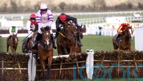 Punchestown a possibility for Affordale Fury
