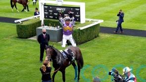 Angel Bleu hunting further French glory