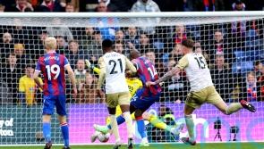 Dramatic winning return for Roy Hodgson as Crystal Palace beat Leicester