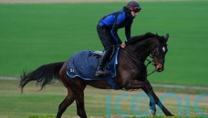 Shishkin ready to step up in Aintree Bowl