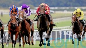 Al Riffa taking direct path to Irish Guineas date