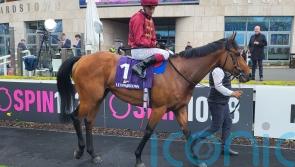Buckaroo foils Homeless Songs in Leopardstown thriller