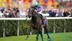 Fellowes and Vadream on a &lsquo;shot to nothing&rsquo; on Finals Day