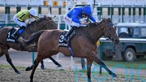 Forest Of Dean and Harrovian tough to split for Gosdens