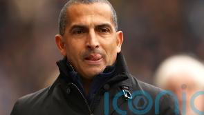 Sabri Lamouchi moves on from Connor Wickham incident as Cardiff claim vital win