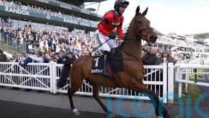 Derek Fox sits out Ahoy Senor ride in bid to be fit for National