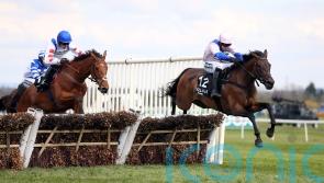 West Balboa lands knockout blow for Skeltons