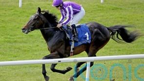 Democracy rules at the Curragh with impressive debut