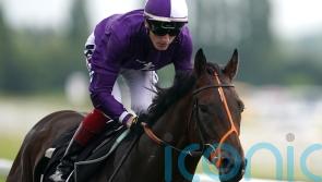 Newbury reappearance possible for Mojo Star