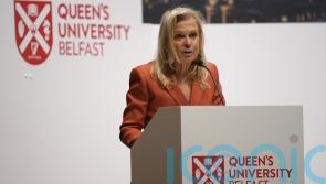 Economic progress in NI depends on political stability, says US ambassador