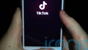 TikTok to be removed from work phones used by Government staff