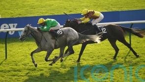 Hugely popular Buzz heads for long and happy retirement