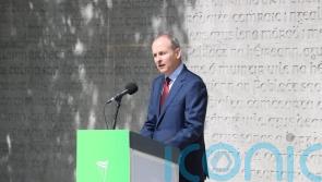 Micheal Martin says triple lock on overseas peace missions is under review