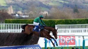 El Fabiolo looking to round off superb campaign in style