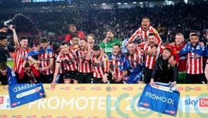 Sheffield United clinch Premier League return with victory over West Brom